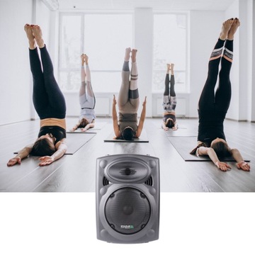 Активная колонка Аккумулятор PORT8UHF-BT-TWS 2 микрофонных чехла