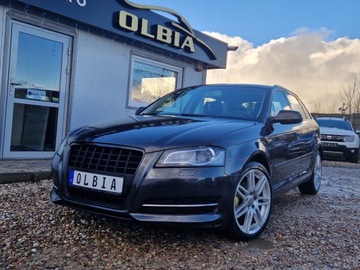 Audi A3 8P Hatchback 3d 1.8 TFSI 160KM 2012