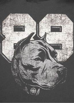 Koszulka T-shirt męski PitBull PIT BULL "DOG 89" - grafitowy r.L