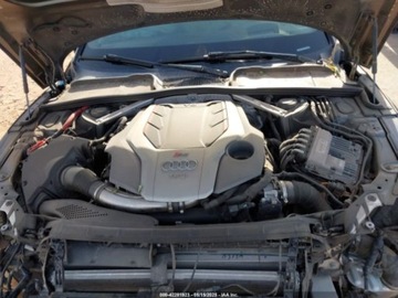 Audi A5 F5 2019 Audi RS5 Coupe 2.9T 2019 2.9 Benzyna 444KM, zdjęcie 7