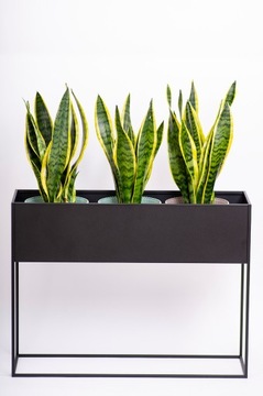 DONICA METALOWA X-long RODOS, 60 cm CZARNA