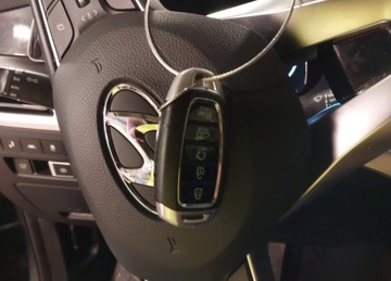 Hyundai 2021 Hyundai Palisade 2021r., Limited, 3.8L, od ubezpieczalni 3.8 Benzyna 295KM, zdjęcie 11