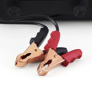 Зарядное устройство WORKSHOP RECTIFIER 10А 12В AEG WM10 Formula1 Limited Edition