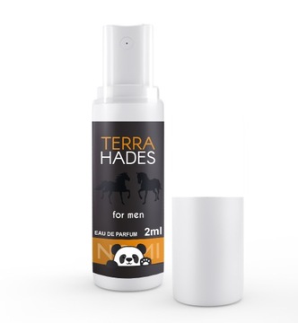 TRWAŁE PERFUMY FM MĘSKIE NOMI PERFUMETKI PERFUMETKA TERRA HADES 2ML