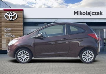 Ford Ka III 1.2 Duratec 69KM 2009 Ford KA Ford KA 2009 1.2 Titanium 1.2 Benzyna 69KM, zdjęcie 15