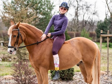 Хлопковые гольфы Jabłuszka для верховой езды.