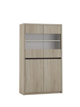 WITRYNA SYSTEMU KATE KT-W1
