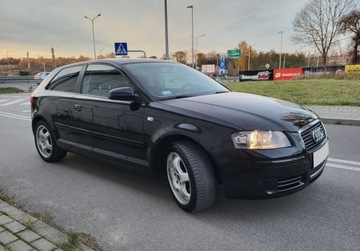 Audi A3 8P Hatchback 3d 1.9 TDI 105KM 2007 Audi A3 1.9 TDI 105KM Climatronic Alufelgi 17 ..., zdjęcie 2