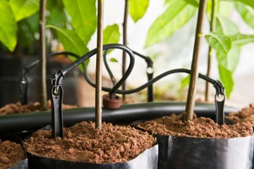 EMITER 8 L/H TORO z dyszą