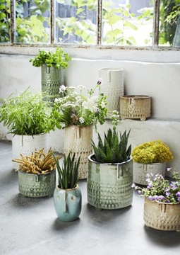 МИНИ-ВАЗА ЛИЦО - Г-ЖА ШТОЛЦ