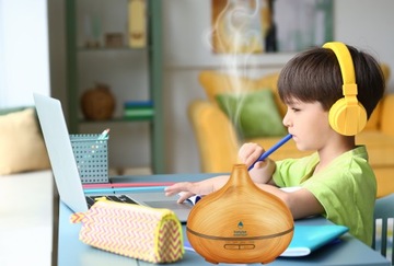 Ультразвуковой увлажнитель-диффузор Aroma Institute Яркий лук