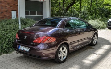 Peugeot 307 I 2004 Peugeot 307 2,0 (138KM) Bezwypadkowy 2.0 Benzyna 138KM, zdjęcie 7