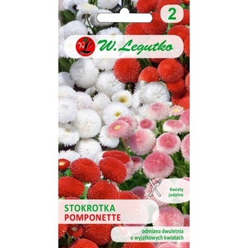 STOKROTKA POSPOLITA POMPONETTE MIESZANKA 0,1G LEGU