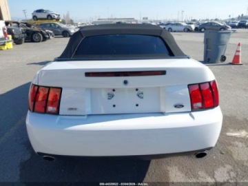 Ford Mustang V 2004 Ford Mustang Cobra 2004 4.6 Benzyna 390KM, zdjęcie 4