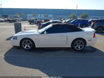 Ford Mustang V 2004 Ford Mustang Cobra 2004 4.6 Benzyna 390KM, zdjęcie 2