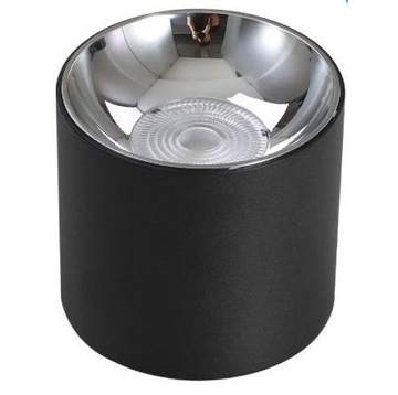 Blaupunkt Lampa LED Natynkowa Spot Roller 10W NW