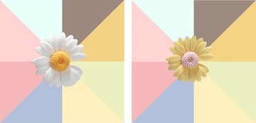 ПОДВЕСКИ-УКРАШЕНИЯ для обуви, шнурки_стокротка