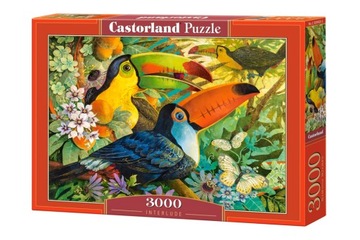 Puzzle 3000 el. C-300433 Interlude