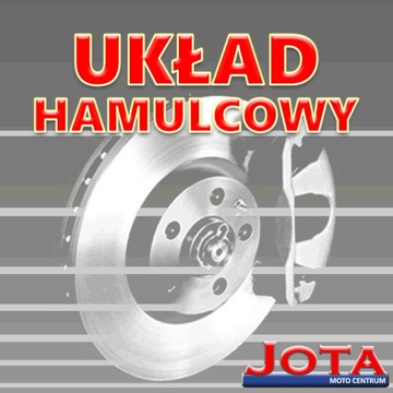 TARCZA HAMULCOWA TYŁ RENAULT MEGANE SCENIC