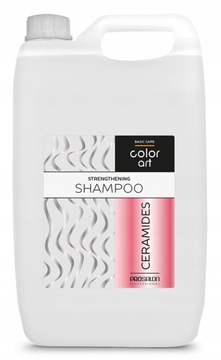 Prosalon ColorArt Szampon WZMACNIAJĄCY CERAMIDY 5L