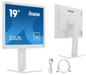 Monitor iiyama ProLite B1980D-W5 19