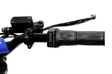 CROSS электрический SERVAL 1200Вт 48В Лев 15Ач 12/10