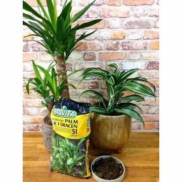 2x ПОЧВА ДЛЯ ЗЕЛЕНЫХ ПАЛЬМ JUK DRACEN 10л