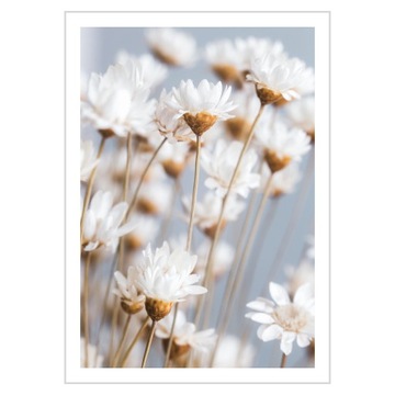 Plakat 50x70 Wiosenne kwiaty Niebieskie