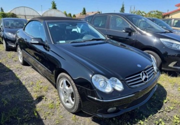 Mercedes CLK W209 Cabrio A209 5.0 V8 (500) 306KM 2003 Mercedes-Benz CLK Mercedes-Benz CLK 500 Avantgarde 5.0 Benzyna 306KM, zdjęcie 1