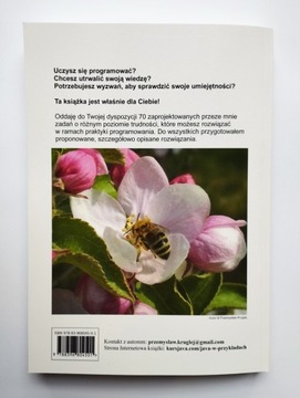 Java в примерах - Пшемыслав Круглей