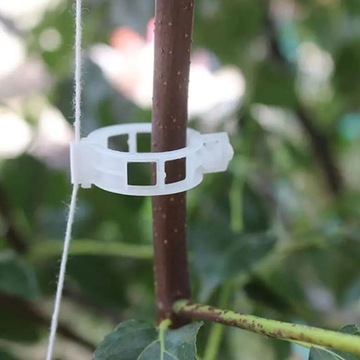 50 шт. прозрачные зажимы для растений.