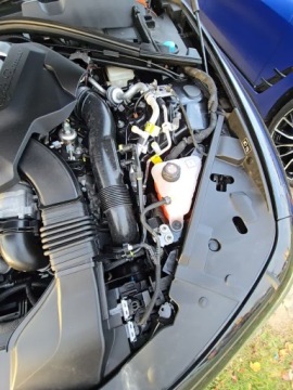 Alfa Romeo Giulia II 2024 Alfa Romeo Giulia Quadrifoglio 2024 2.9l 2.9 Benzyna 505KM, zdjęcie 6