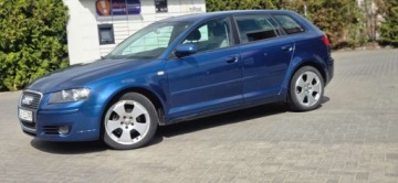 Audi A3 8P Hatchback 3d 1.9 TDI 105KM 2004 Audi A3 Sportback 1,9TDI 105 KM Alu Klima Import Raty Oplaty ASO 1.9, zdjęcie 5
