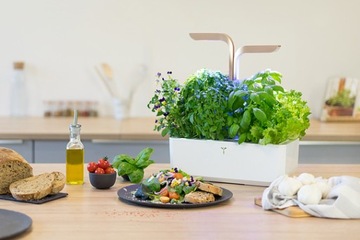 Настоящая Классика