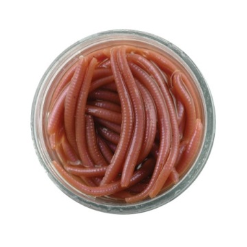 Угловой червь 5см Коричневый Глоток! Живой Беркли 60 шт.