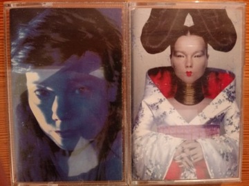 Bjork - Telegram / Homogenic , 2x kaseta