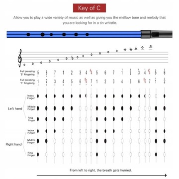 Популярные отверстия для флейты с оловянным свистком