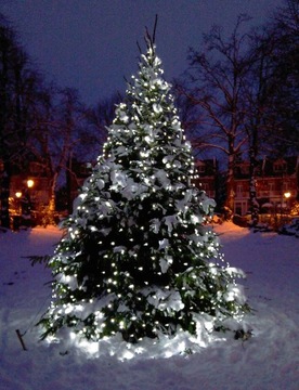 Елочные гирлянды 200 LED COLD WHITE