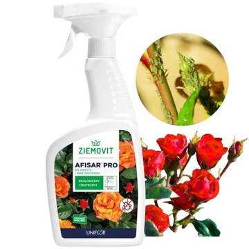 AFISAR PRO ŚRODEK NA MSZYCE I INNE SZKODNIKI DO RÓŻ PELARGONII 500ML