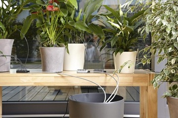 АВТОМАТИЧЕСКАЯ ЛЕЙКА