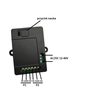 Контроллер, 2-канальная радиолиния 12–36 В/переменный ток 12–48 В/постоянный ток 2 пульта дистанционного управления