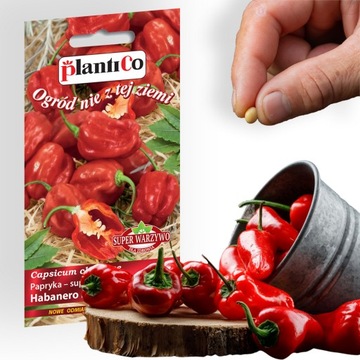 Nasiona warzyw PAPRYKA CHIŃSKA HABANERO RED 0,15g. nasiona PlantiCo