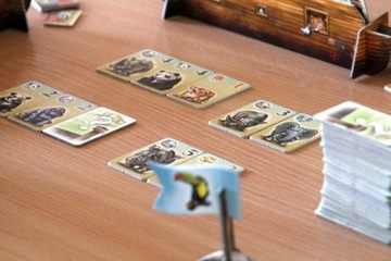Домашние животные на борту - Collect Animals G3 Uszk.pack