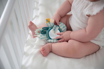 DOLCE TOYS ПОДАРОК ​​НОВОРОЖДЕННОМУ, ЧЕРЕПАХА, ЧЕРЕПАХА