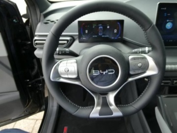 BYD Sealion 7 2025 BYD Dolphin Surf Comfort Hatchback (156 KM) 2025, zdjęcie 10