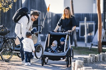 Велосипедный прицеп Thule Courier 2 Синий