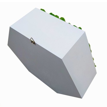 КАРТИНА МОХ в деревянной рамке ШЕСТИГРАННИК мох хроботек ЖИВАЯ КАРТИНА ручной работы