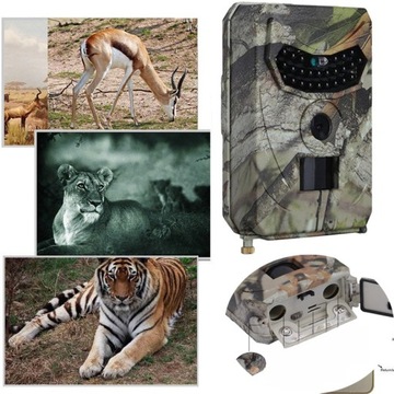 ОХОТНИЧАЯ КАМЕРА НОЧНАЯ МИНИ WILDLIFE ВОДОНЕПРОНИЦАЕМАЯ 1080 ВИДЕО