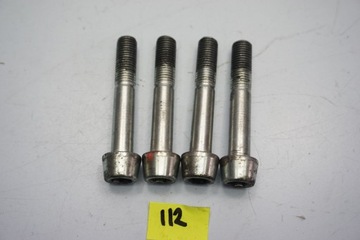 APRILIA TUONO V4 1100 ЗАВОДСКИЕ 19- ВИНТЫ, ВИНТЫ ПЕРЕДНЕГО ТОРМОЗНОГО СУППОРТА