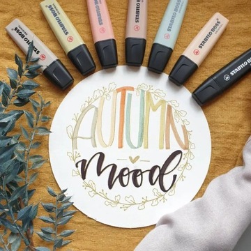 Zakreślacz Do Tekstu Stabilo Boss Kolory Natury Sienna 70/175